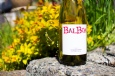 2012 Chardonnay 750ml