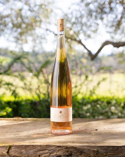 2023 Rosé  of Pinot Noir - Sonoma Coast - 1.5L