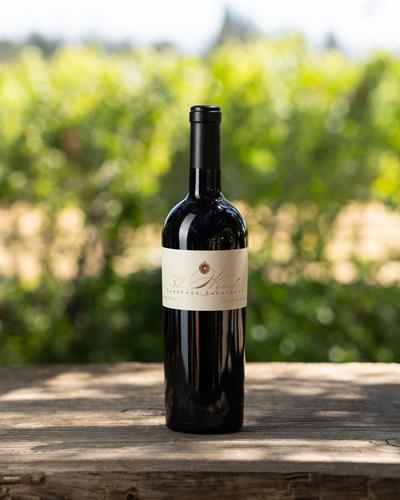 2023 Cabernet Sauvignon - Moon Mountain