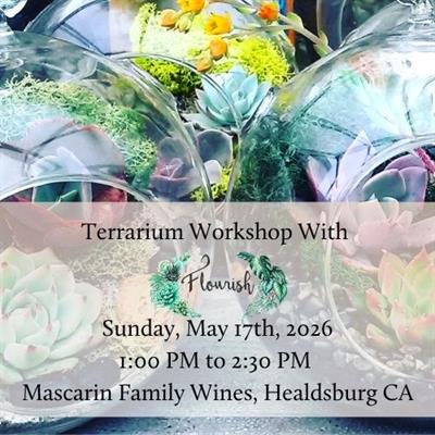 May 17th: Succulent Terrarium Workshop