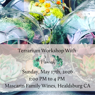 May 17th: Succulent Terrarium Workshop