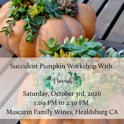 October 3rd: Succulent Pumpkin Workshop