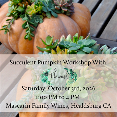 October 3rd: Succulent Pumpkin Workshop