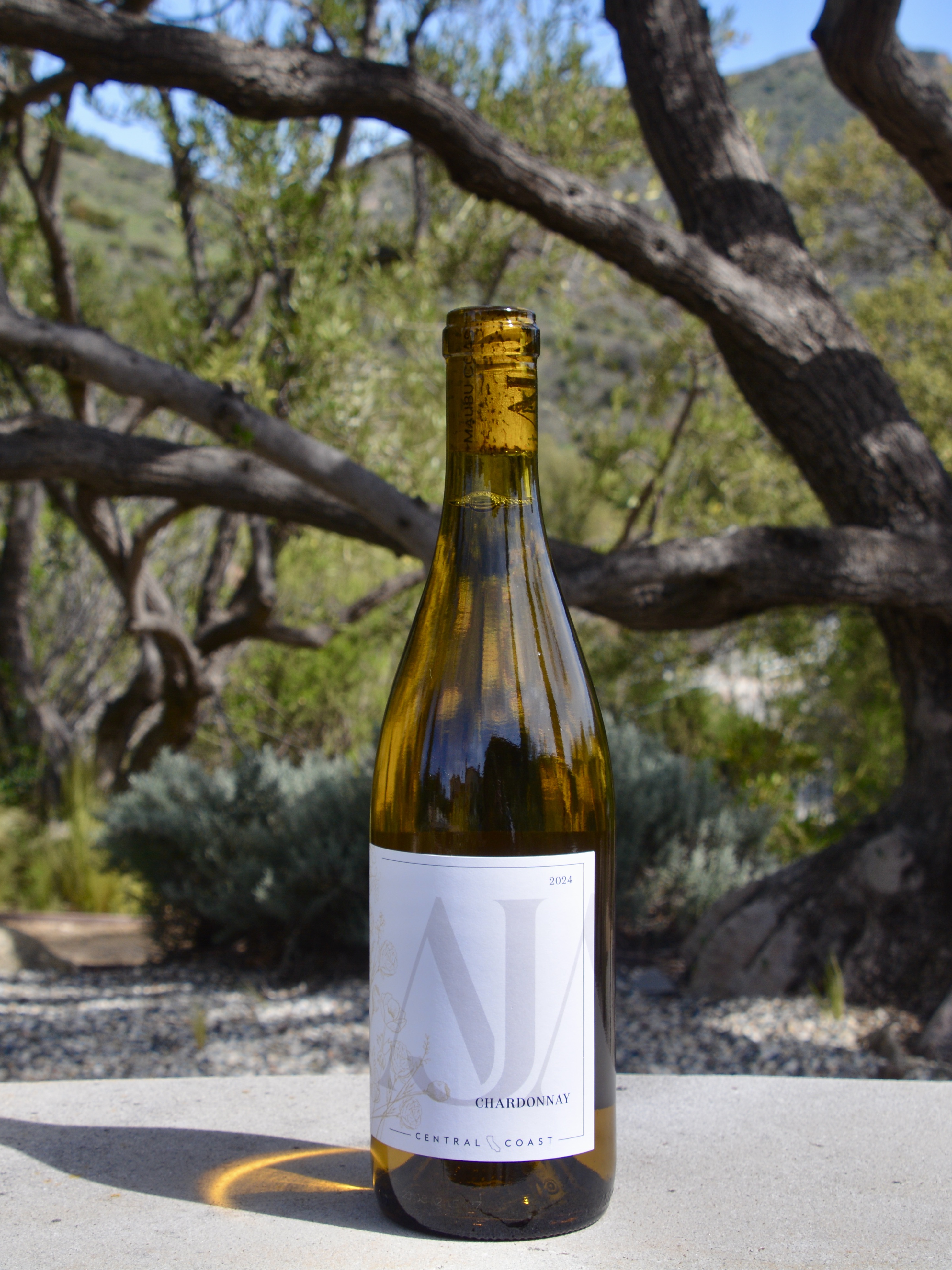 2024 Chardonnay Central Coast