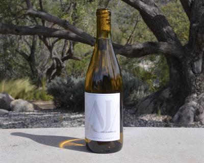 2025 Chardonnay Central Coast
