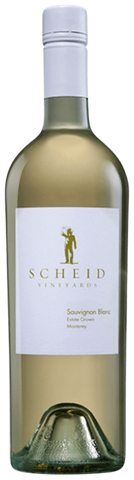 2023 Scheid Sauvignon Blanc