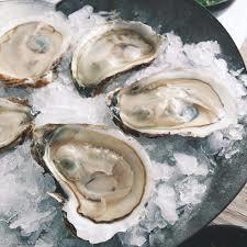 1/2 Dozen Oysters on the Half Shell