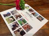 Airlie Wine Dog Book