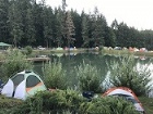 Starry-Starry Nite August 9 & 10