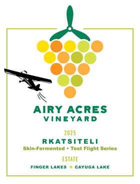 2025 Rkatsiteli Skin-Ferment