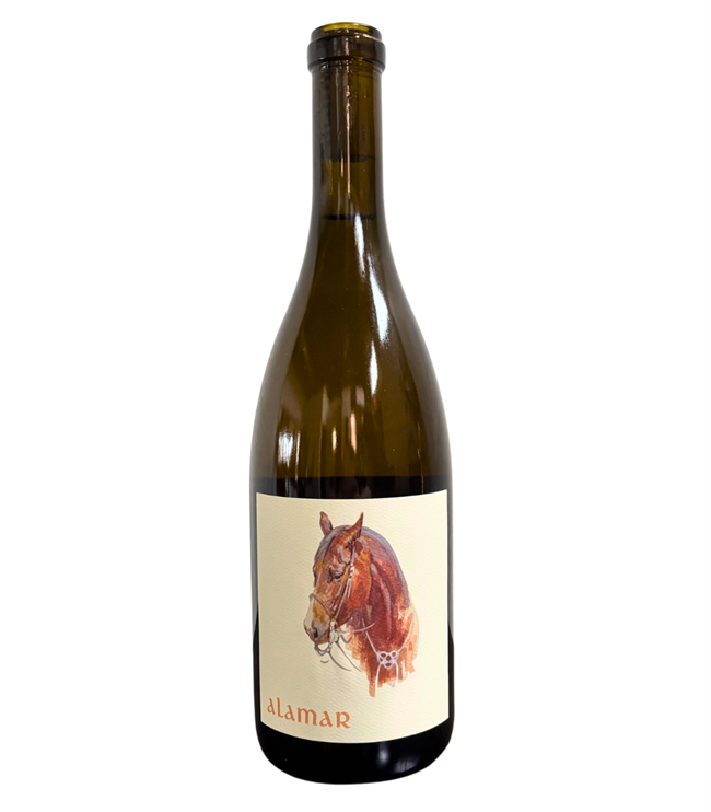 Chardonnay 2023 - Bottle