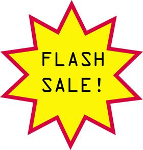Black Friday Flash Sale! - Black Twig