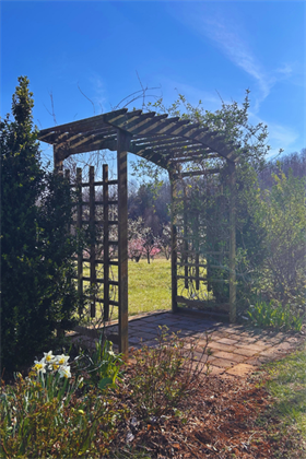 June 6th Microwedding