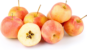 Heirloom Apple Tasting