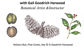 Botanical Art Mini-Workshop- Winter Wonders