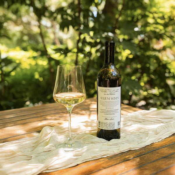 Katie's Block 2024 Sauvignon Blanc