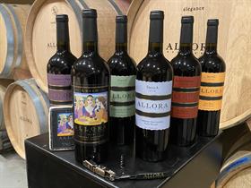 One Eleven (111) Motor Sports - Franklin, TN Tasting 11.14.25