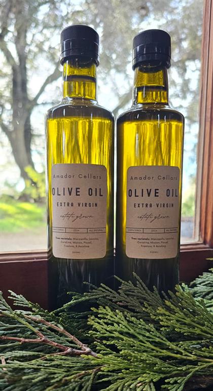 Olive Oil