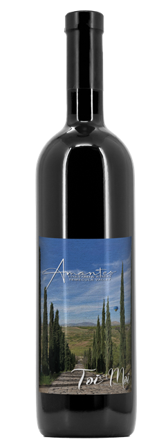 Toi et Moi 2022 Merlot