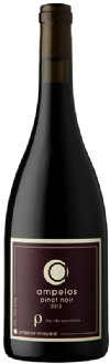 2013 Sta. Rita Hills Pinot Noir - Rho (barrel select)