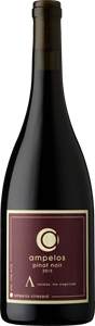 2020 Sta. Rita Hills Pinot Noir - Lambda