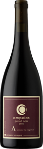 2018 Sta. Rita Hills Pinot Noir - Lambda
