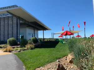 Area Image