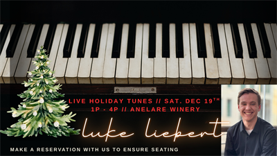 Live Holiday tunes with Luke Liebert!