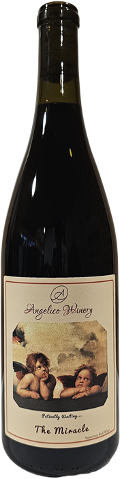 Miracle - Barbera 2024