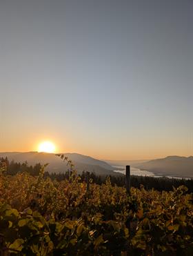 Grapevine Wreath Workshop with Joce!