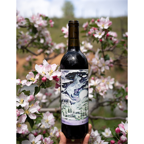 Sirius 2022 - Library