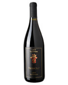 2010 Klipsun Vineyard Nebbiolo