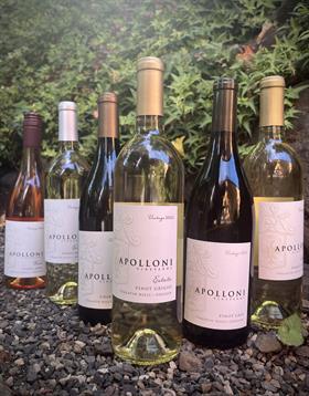 Mystery White Wine 6-Pack