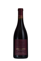 2019 Fiorentina Pinot Noir