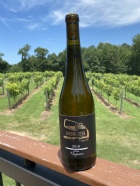 Viognier 2024 Bottle New RElease
