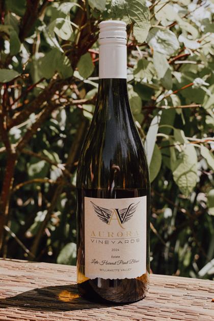 2024 Late Harvest Pinot Blanc