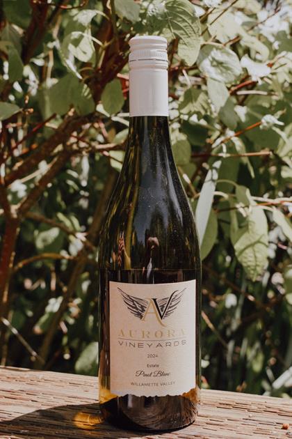 2024 Estate Pinot Blanc