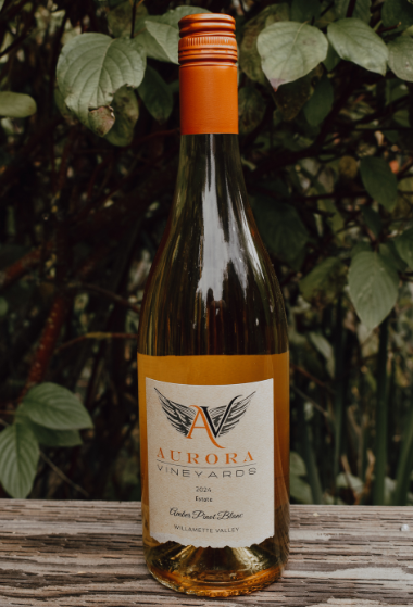 2024 Amber Pinot Blanc