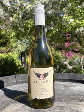 2023 WC Sauv Blanc