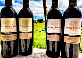 Merlot Vertical - 2018, 2019, 2020, and Newly Released 2021