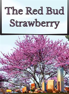 Strawberry White Zin (Btl.)