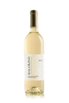 2024 Sauvignon Blanc
