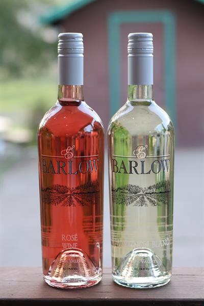 2023 Sauvignon Blanc