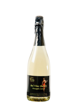 Pineapple Coconut Bubbly