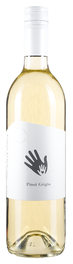 2025 Pinot Grigio
