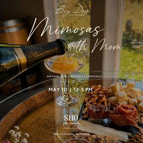 Mother's Day Brunch Board & Mimosa