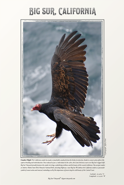 #1  Condor Flight