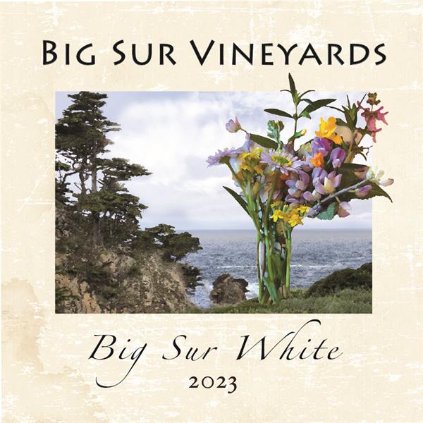 2023 Big Sur White