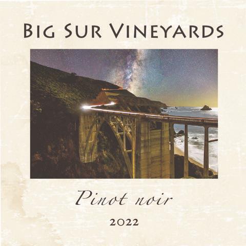 2022 Pinot noir