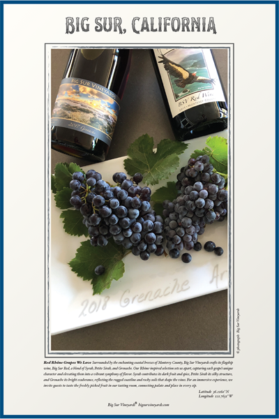 #12 Grapes We Love